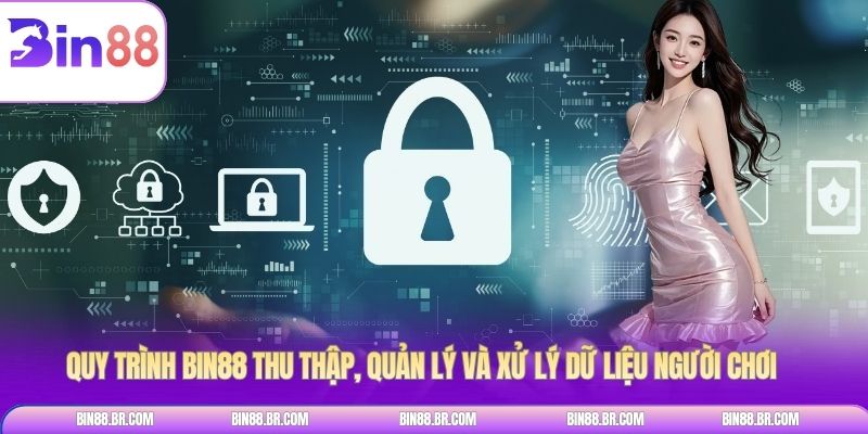 Quy trình BIN88 thu thập, quản lý và xử lý dữ liệu người chơi