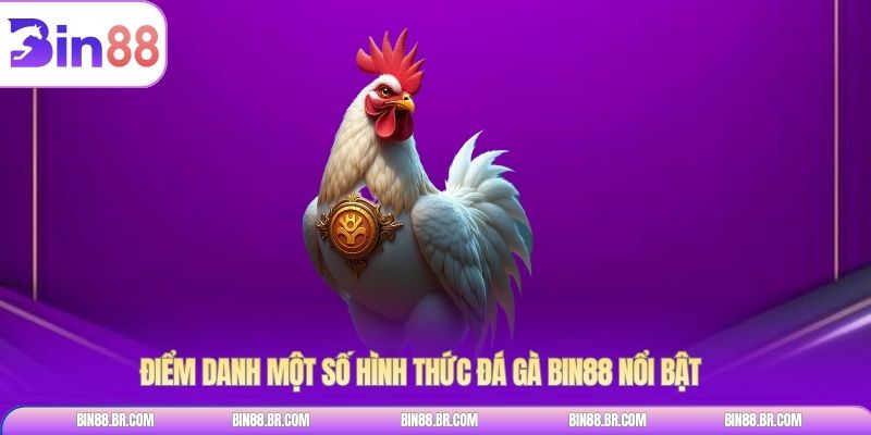 Điểm danh một số hình thức Đá gà BIN88 nổi bật
