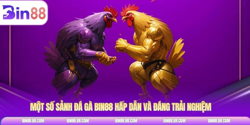 Một số sảnh đá gà BIN88 hấp dẫn và đáng trải nghiệm