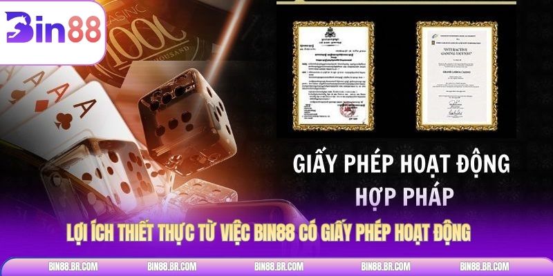 Lợi ích thiết thực từ việc Bin88 có giấy phép hoạt động