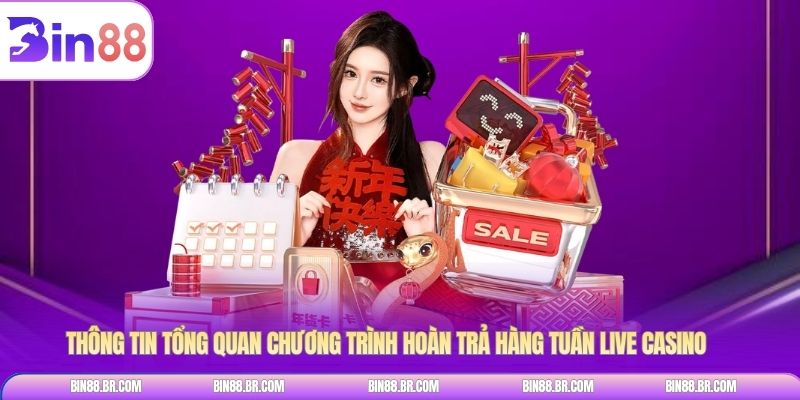 Thông tin tổng quan chương trình hoàn trả hàng tuần Live Casino