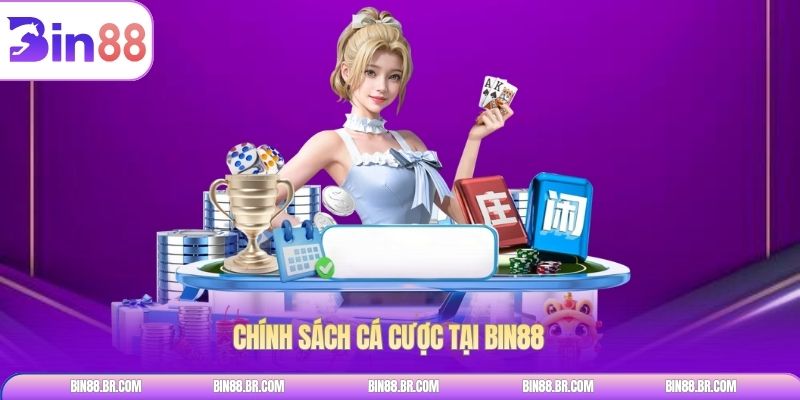 Chính sách cá cược tại Bin88