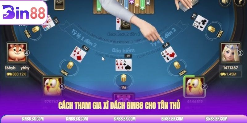 Cách tham gia xì dách BIN88 cho tân thủ