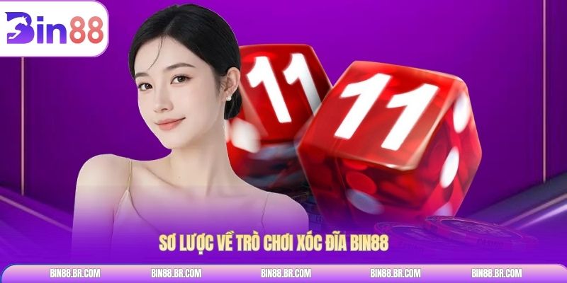 Sơ lược về trò chơi xóc đĩa BIN88