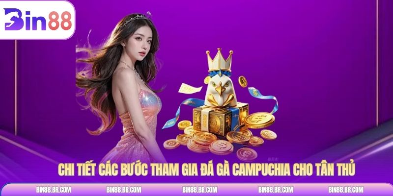 Chi tiết các bước tham gia đá gà campuchia cho tân thủ