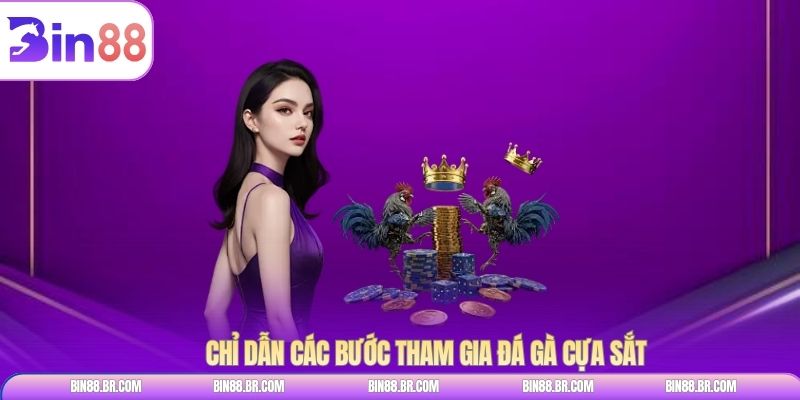Chỉ dẫn các bước tham gia đá gà cựa sắt