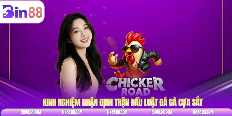 Kinh nghiệm nhận định trận đấu luật đá gà cựa sắt 