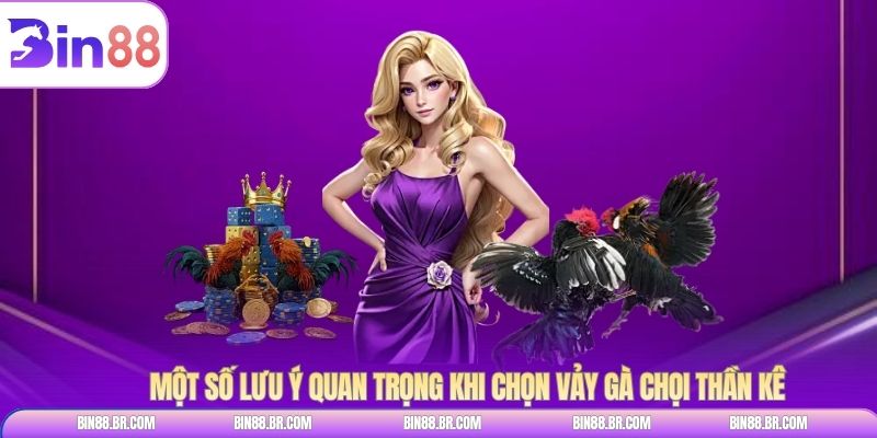 Một số lưu ý quan trọng khi chọn vảy gà chọi thần kê